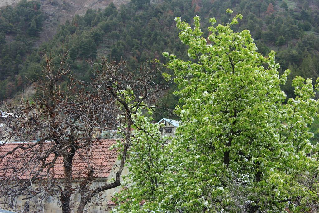 Old District Guest House Tbilisi Bagian luar foto